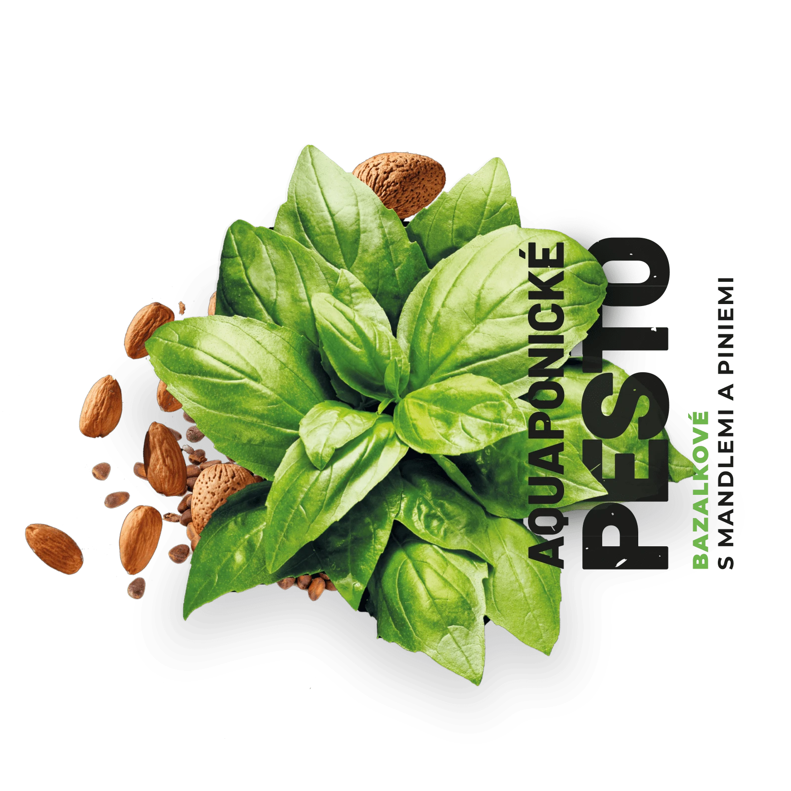 Vytvoření etikety obalu Pesto